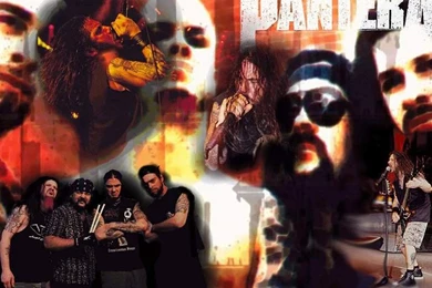 Pantera 11 Wallpapers From Metal Bands Wallpapers