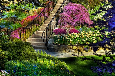 Absolutely Beautiful Nature Images For Your Desktop