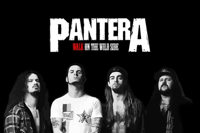 14 Quality Pantera Wallpapers, Music
