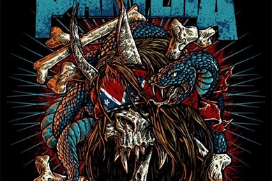 Pantera iPhone 5 Wallpapers / IPod Wallpapers HD Free Download