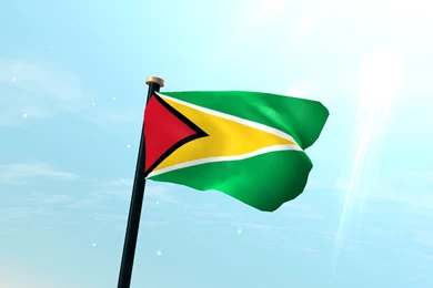 Guyana Flag 3D Free Wallpapers   Android Apps On Google Play