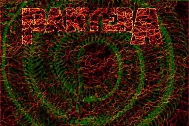 Pantera Wallpaper, Picture, Photo, Image