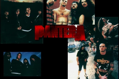 PANTERA   BANDSWALLPAPERS