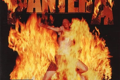 Pantera