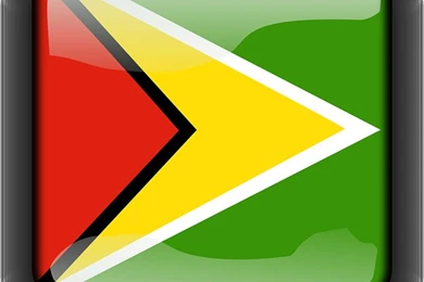 Free Pictures FREE VECTORS   38814 Images Found