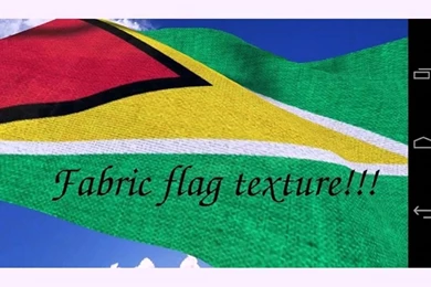 3D Guyana Flag +   APK Review   YouTube