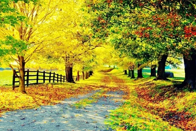 Nature Wallpapers [Archive]   Friendly Mela Pakistani Urdu Forum, A ...