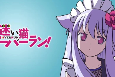 Animal Ears Mayoi Neko Overrun Kiriya Nozomi