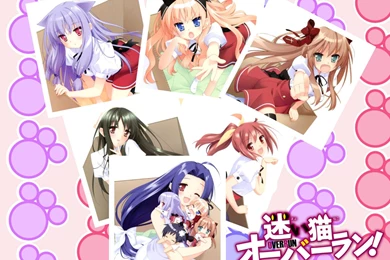 迷途猫OVERRUN第4集乐视视频在线观看_010在线