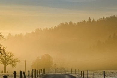 Download Wallpapers 1080x1920 Road, Fog, Stakes, Protection, Frosts ...