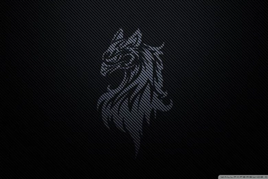 Carbon Fiber Gryffin By Betahouse wallpaper 1920x1200 Wallpapers ...