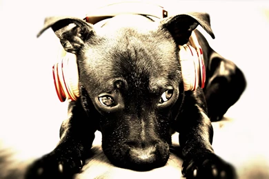 DJ HD Wallpapers 2016