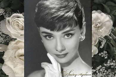 Audrey Hepburn   Audrey Hepburn Wallpapers (16027718)   Fanpop