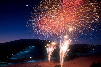 Desktop Flowers Wallpapers Free Download PC 3d Hd Pictures.