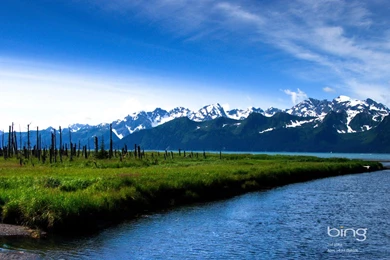 Funny Guy Profil Pic Bing 1920×1080 Resolution Pictures And ...