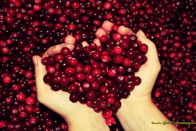 New Hd Wallpapers Pack