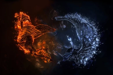 Fire And Water iPad Air Wallpapers Download