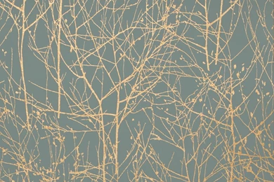 Wintertree II Wallpapers   Colefax And Fowler