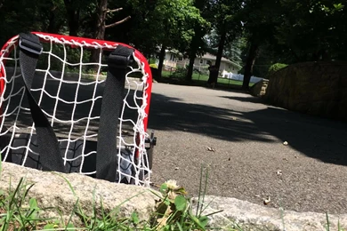 72 Foot Drive Way Saucer Bomb With Green Biscuit Hockey Wrap ...