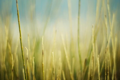 Theme Bin» Blog Archive » Renew HD Wallpapers