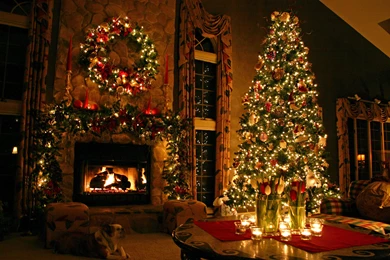 Christmas Tree Wallpapers Collection (33+)