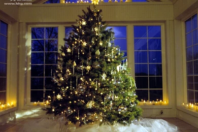 Christmas Tree Wallpapers