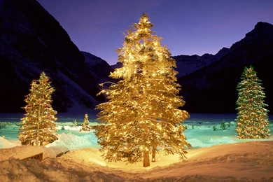 Christmas Tree Backgrounds Wallpapers