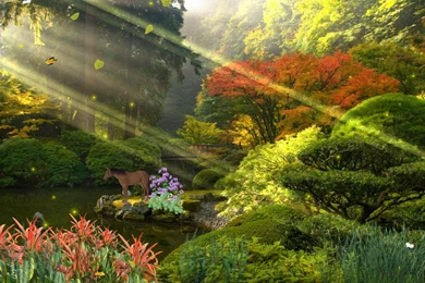 Moving Wallpapers Free Download 28995 HD Wallpapers