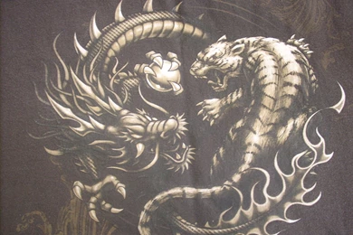 Dragon Vs Tiger Power Rangers By Marcusthedbzking On DeviantArt