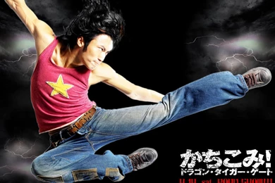 Dragon Tiger Gate Wallpapers   Asian Movie Wallpapers