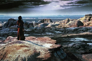 Animal Ears Ant Of Spirit Dragon Tail Tiger Touhou Yakumo Ran ...