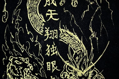 Fire And Lightning, Tiger And Dragon By IPWNoobs On DeviantArt