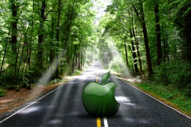 Apple In Nature Wallpapers