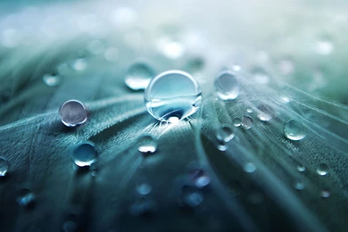 Drops Of Water   Nature iPad 3 Wallpapers