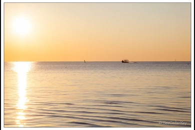 Good Morning Cedar Key!   SeeCedarKey