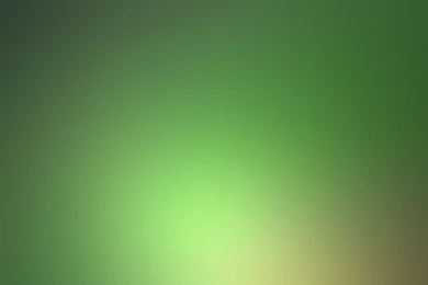 Development: Good Morning Mango, Picture Nr. 35848