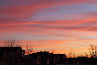 Good Morning Sunshine” Desktop Backgrounds