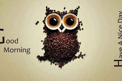 Good Morning Hd Wallpapers Collection (37+)