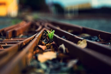 Keyword: Railway   Wonderful HD Wallpapers   WallpaperLayer.com
