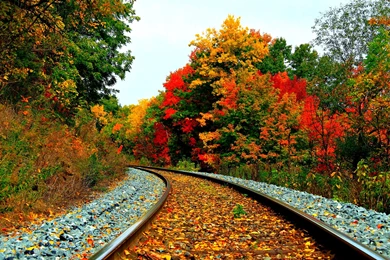Railway Track Wallpapers