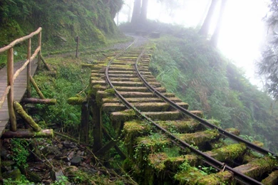 Taiping Mountain Forest Railway HD Wallpapers