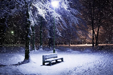 Real Snow Falling Wallpaper.