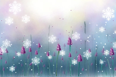 Snow Falling On Flowers >> HD Wallpaper, Get It Now!