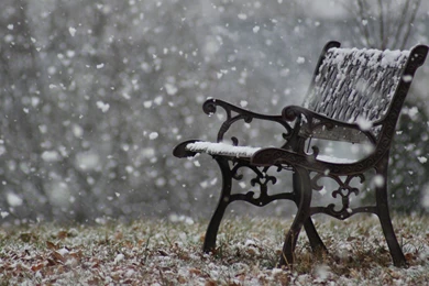 Waiting For You Snow Fall Wallpapers For Desktop And Mobile