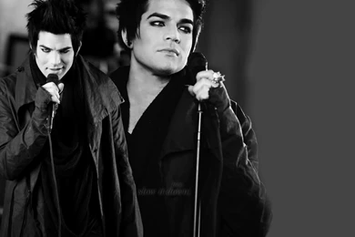 Adam Lambert Wallpapers  All Resolutions