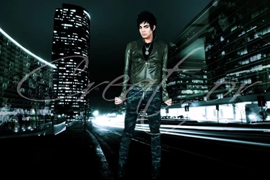 Adam Lambert Wallpapers   Adam Lambert Wallpapers (15632435)   Fanpop