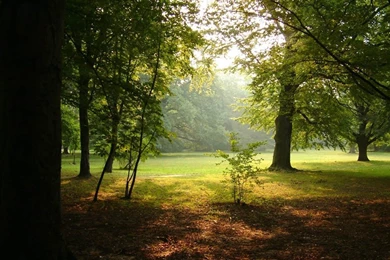 Free Summer Computer Wallpapers