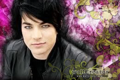 Adam Lambert   1024 / 768 Wallpapers