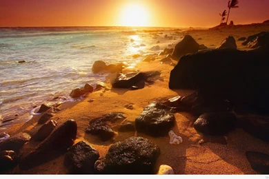 Summer Sunset Wallpapers & Summer Beach Wallpapers