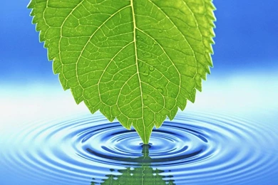 Metamorphosis Design Blog 10 New Free Desktop Wallpapers To ...